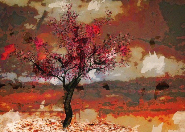 Summer cherry tree by Dagmar Marina